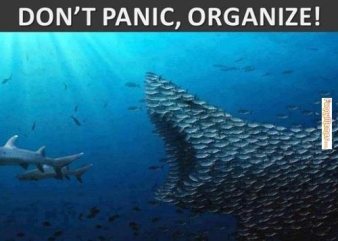Dont-panic-organize