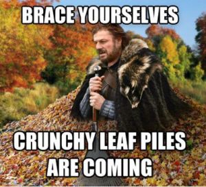 Funniest_Memes_brace-yourselves-crunchy-leaf-piles-are-coming_16752
